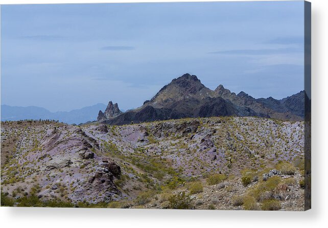 Desert Acrylic Print featuring the photograph Desert Landscape #1 by Gilbert Artiaga