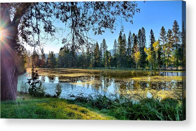 Fall Acrylic Print featuring the photograph Fall Preview by Julia Hassett