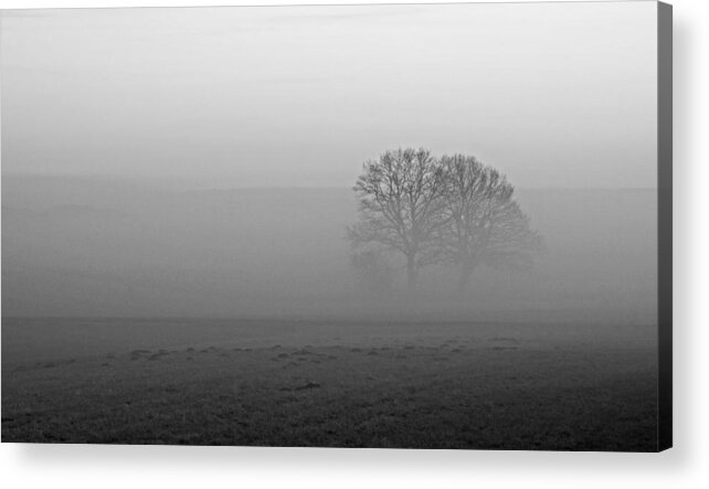 Fog Acrylic Print featuring the photograph Finding our Way by Miguel Winterpacht