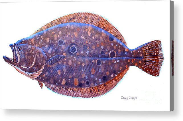 Flounder Acrylic Print featuring the painting Flounder by Carey Chen