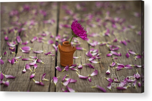 Flowers Acrylic Print featuring the photograph Flower Pot #1 by Aged Pixel