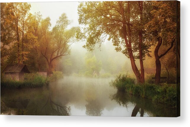 Pond Acrylic Print featuring the photograph Foggy Autumn by Leicher Oliver