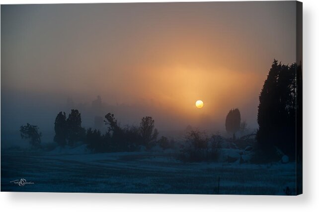 Foggy Evening Acrylic Print featuring the photograph Foggy evening by Torbjorn Swenelius