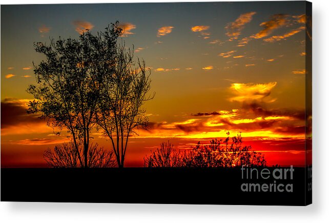 Sunset Acrylic Print featuring the photograph Golden Evening by Robert Bales