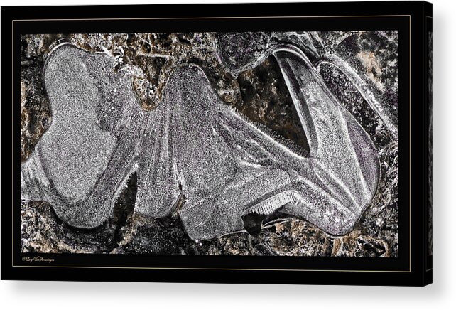 Ice Acrylic Print featuring the photograph Graphic Ice by Lucy VanSwearingen