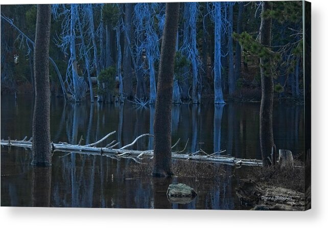 Lake Acrylic Print featuring the photograph Haunted Forest by Donna Blackhall