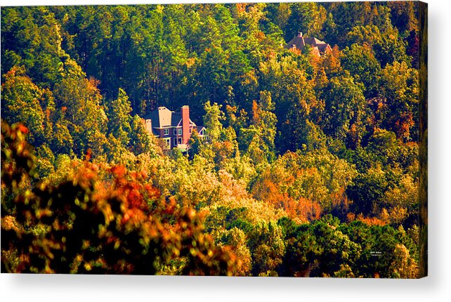 Autumn Acrylic Print featuring the photograph Kennesaw Hideout by Rafael Salazar