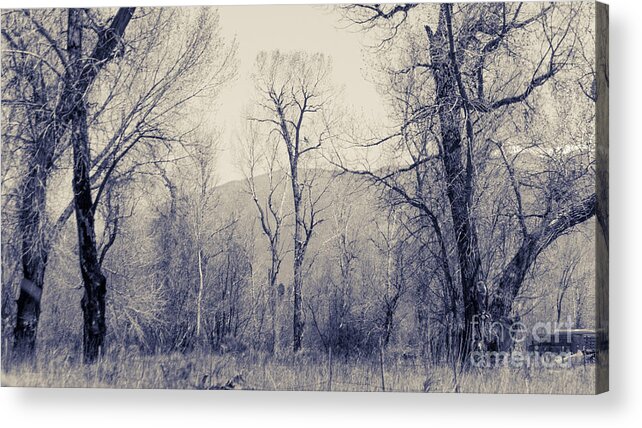 Nm Acrylic Print featuring the photograph Landscape e10w Taos NM by Otri Park