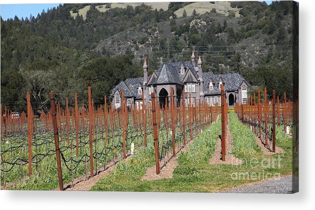 Sonoma Acrylic Print featuring the photograph Ledson Winery and Vineyard in Late Winter Just Before The Bloom 5D22192 by Wingsdomain Art and Photography