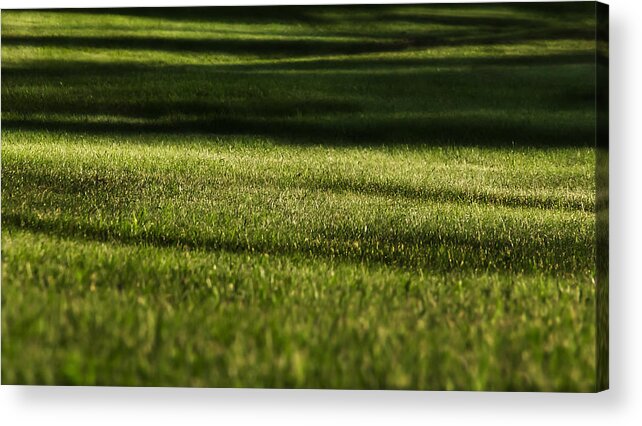 Grass Acrylic Print featuring the photograph Lines by Melissa Petrey