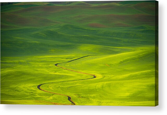 Spring Sunrise Acrylic Print featuring the photograph Long and winding road to by Kunal Mehra