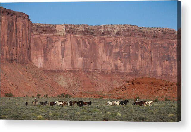 Mustangs Monument 2012 Acrylic Print featuring the photograph Navajo Mustangs by Diane Bohna
