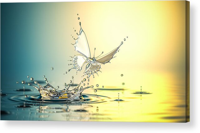 Spray Acrylic Print featuring the photograph New Life by Blackjack3d