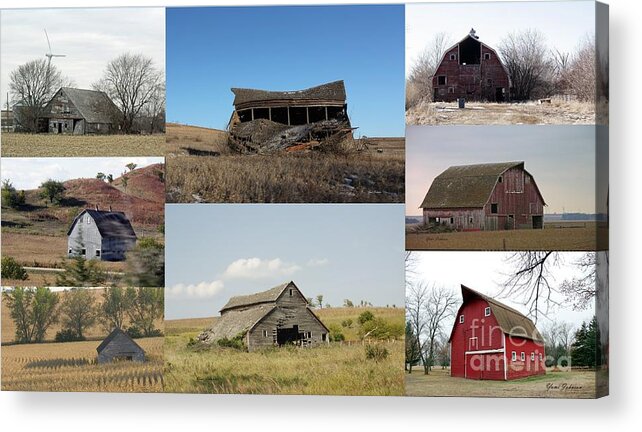 Collages Acrylic Print featuring the photograph Old Barns collage by Yumi Johnson