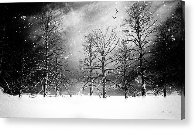 Winter Acrylic Print featuring the photograph One Night In November by Bob Orsillo