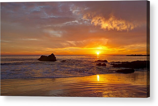 Laguna Beach Acrylic Print featuring the photograph Pacific Edge Laguna Beach by Cliff Wassmann