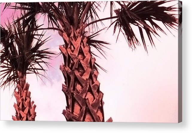 Palmetto Trees At Sunset With A Graphic Art Presentation Acrylic Print featuring the photograph Palmetto Sunset by Edward Shmunes