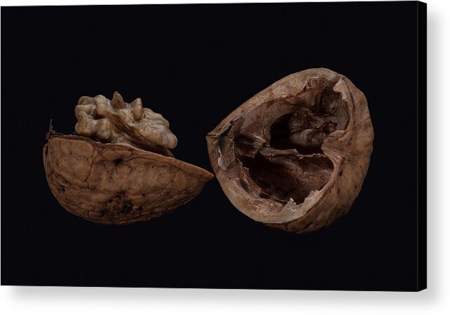 Black Background Acrylic Print featuring the photograph Perfect Walnut by Len Romanick