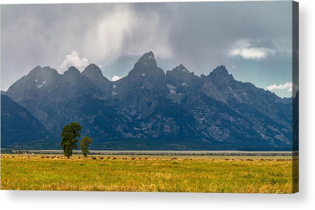 Tetons Acrylic Print featuring the photograph Safe Keeping by Dustin LeFevre
