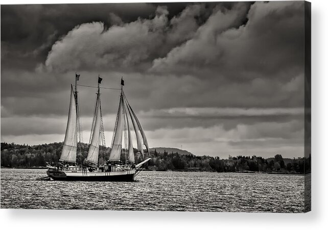 Three Masted Schooner Acrylic Print featuring the photograph Sail Away by Fred LeBlanc