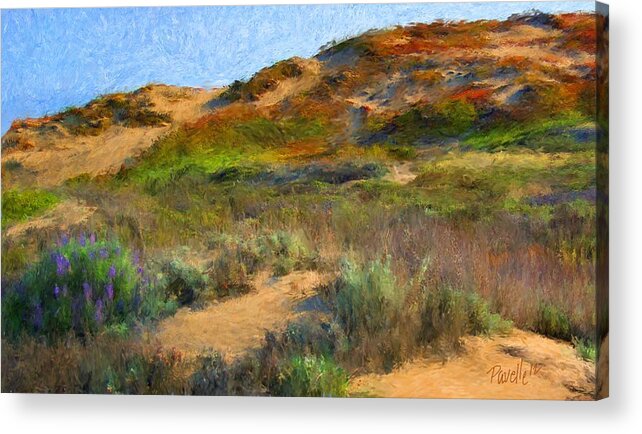  Acrylic Print featuring the digital art Seaside Sand Dune by Jim Pavelle