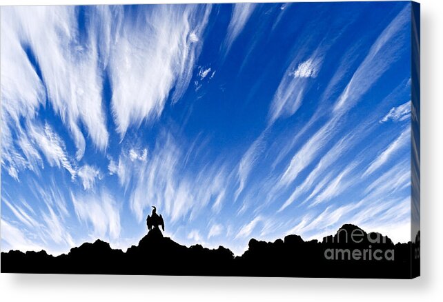 Bird Acrylic Print featuring the photograph Sentinel by Russell Brown