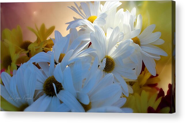 Mum Acrylic Print featuring the photograph Spring blooms by Lisa Jayne Konopka