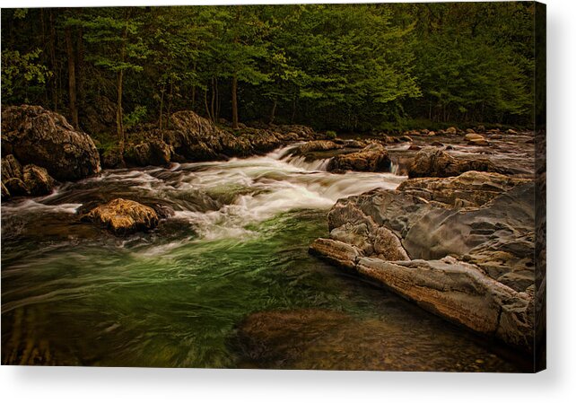Stream Acrylic Print featuring the photograph Stream Within the Trees by Dave Bosse