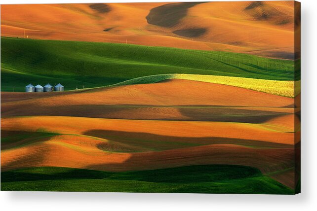 Palouse Acrylic Print featuring the photograph The Colorful Land by Phillip Chang