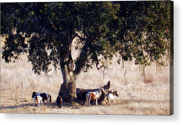 Landscape Acrylic Print featuring the photograph The Gathering Tree by Julia Hassett