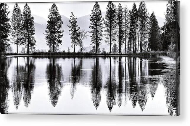 Monochrome Acrylic Print featuring the photograph The Heron Pond by Julia Hassett