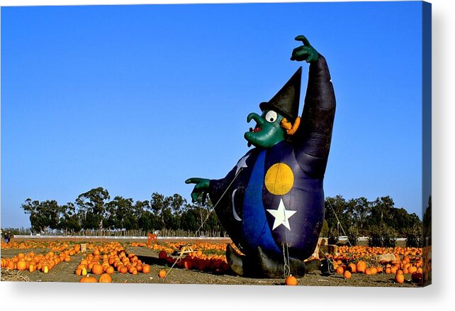 Halloween Acrylic Print featuring the photograph The Old Witch by Michael Gordon