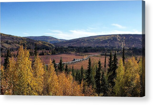 Landscape Acrylic Print featuring the photograph The Trans Alaska Pipline by Michael W Rogers