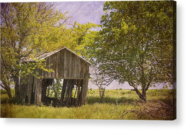 Abandoned Acrylic Print featuring the photograph This Old Barn by Joan Carroll