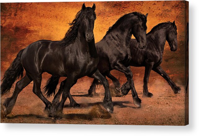 Horses Acrylic Print featuring the photograph Thundering Hooves by Jean Hildebrant