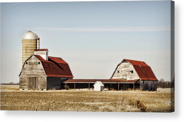Barn Acrylic Print featuring the photograph Timeless Twosome by Cricket Hackmann