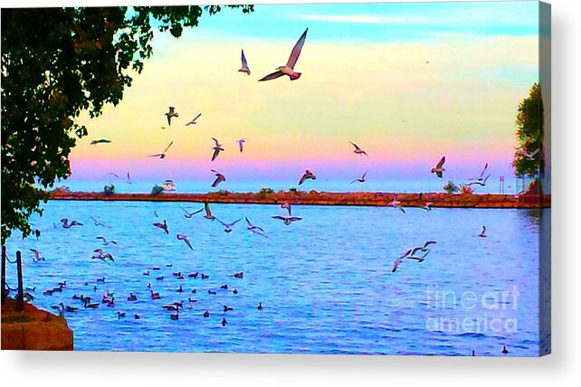 Seascape Acrylic Print featuring the photograph Tranquility by Judy Via-Wolff