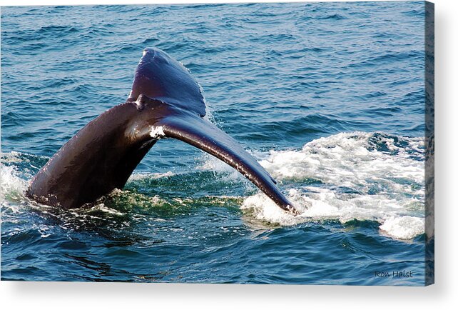 Whale Acrylic Print featuring the photograph Whale Tail by Ron Haist