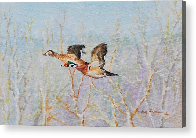 Animal Acrylic Print featuring the painting Wood Ducks by Harry Moulton