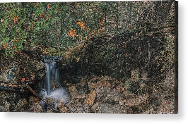 Autumn Acrylic Print featuring the photograph Wooded Stream by Richard Bean