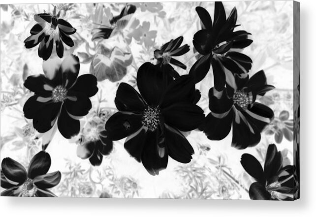 Abstract Photography Acrylic Print featuring the photograph Abstract Flowers 4 by Kim Galluzzo