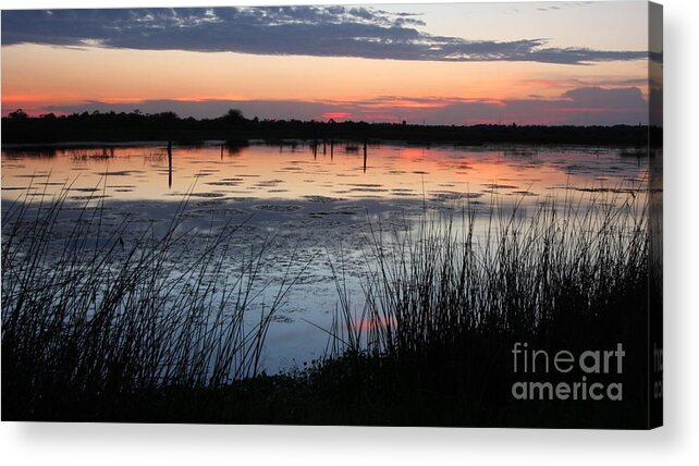 Viera Wetlands Acrylic Print featuring the photograph After the Sun Sets by Jennifer Zelik