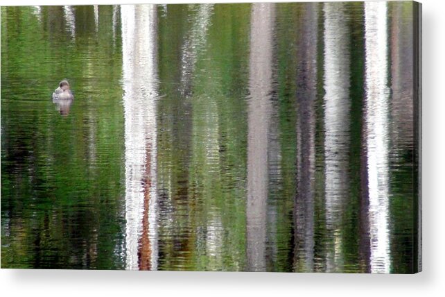 Reflection Acrylic Print featuring the photograph All Is Not What It Seems by Susan Stephenson