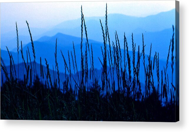 Blue Ridge Mountains Acrylic Print featuring the photograph Blue Ridge Mountains by Lori Miller