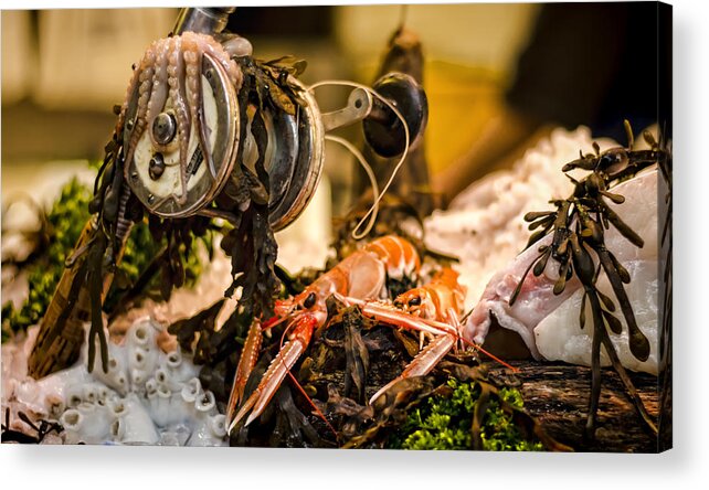 Norway Lobster Acrylic Print featuring the photograph Catch of the Day by Heather Applegate