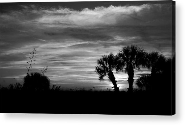 St Pete Beach Acrylic Print featuring the photograph Cloudy Thoughts by Phil Cappiali Jr