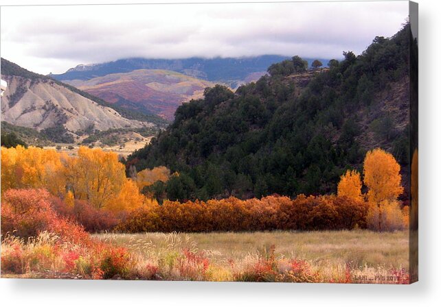Ouray Acrylic Print featuring the photograph Colors of Fall by Lani Richmond Elvenia
