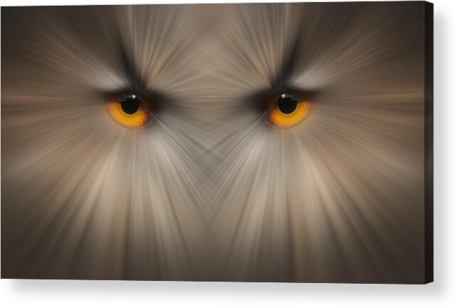 Eye Acrylic Print featuring the photograph Eyes of a Killer by Andy Astbury