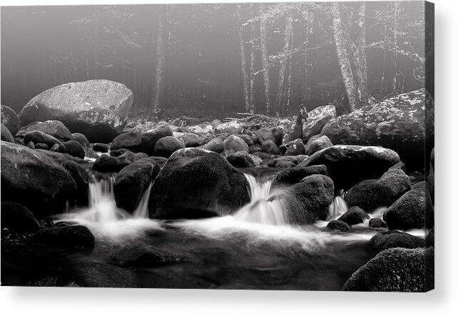 Brook Acrylic Print featuring the photograph Fog on the Roaring Fork by Ray Kent