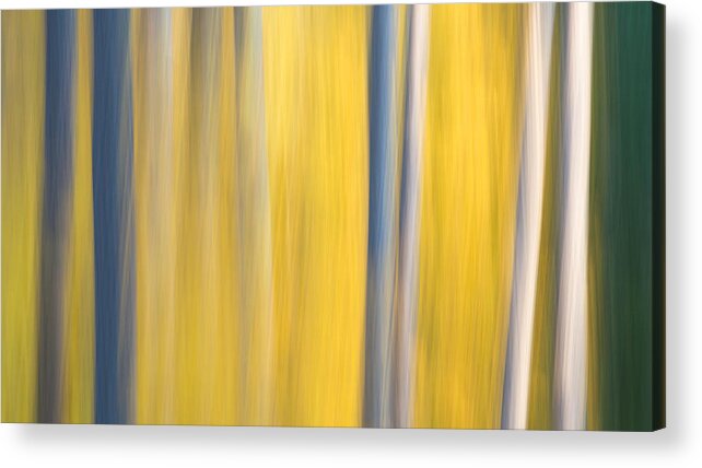 Forest Acrylic Print featuring the photograph Forest Blur by Adam Pender